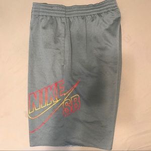 Nike SB shorts
